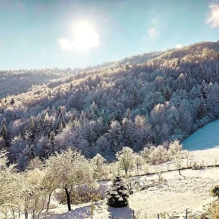 Kotelnica Lodge *