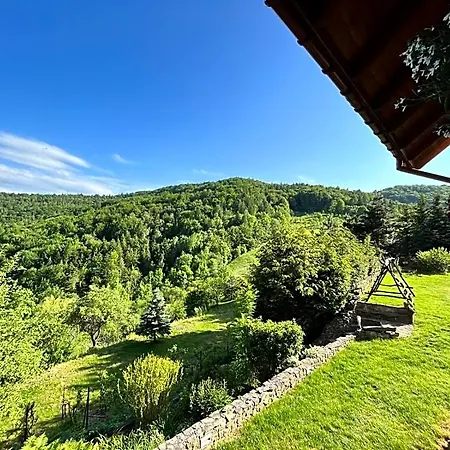 Kotelnica Lodge *